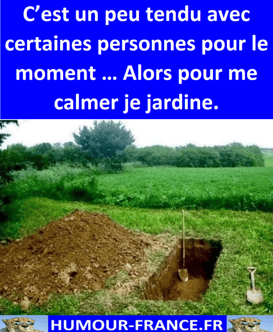 text alternatif