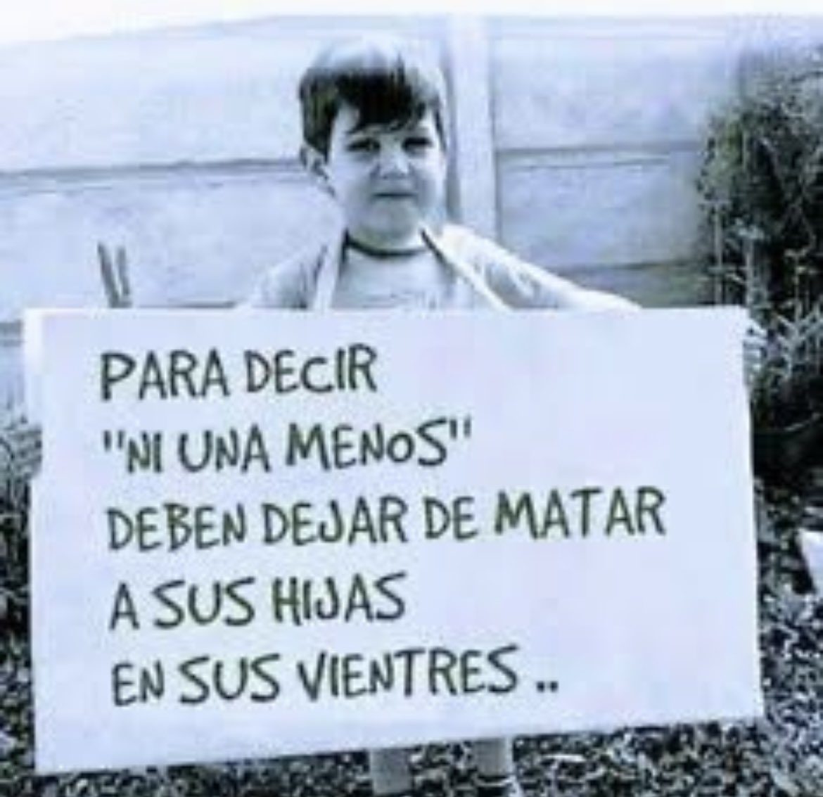 🚨Les hablan a las FEMINISTAS. Congruencia se llama.