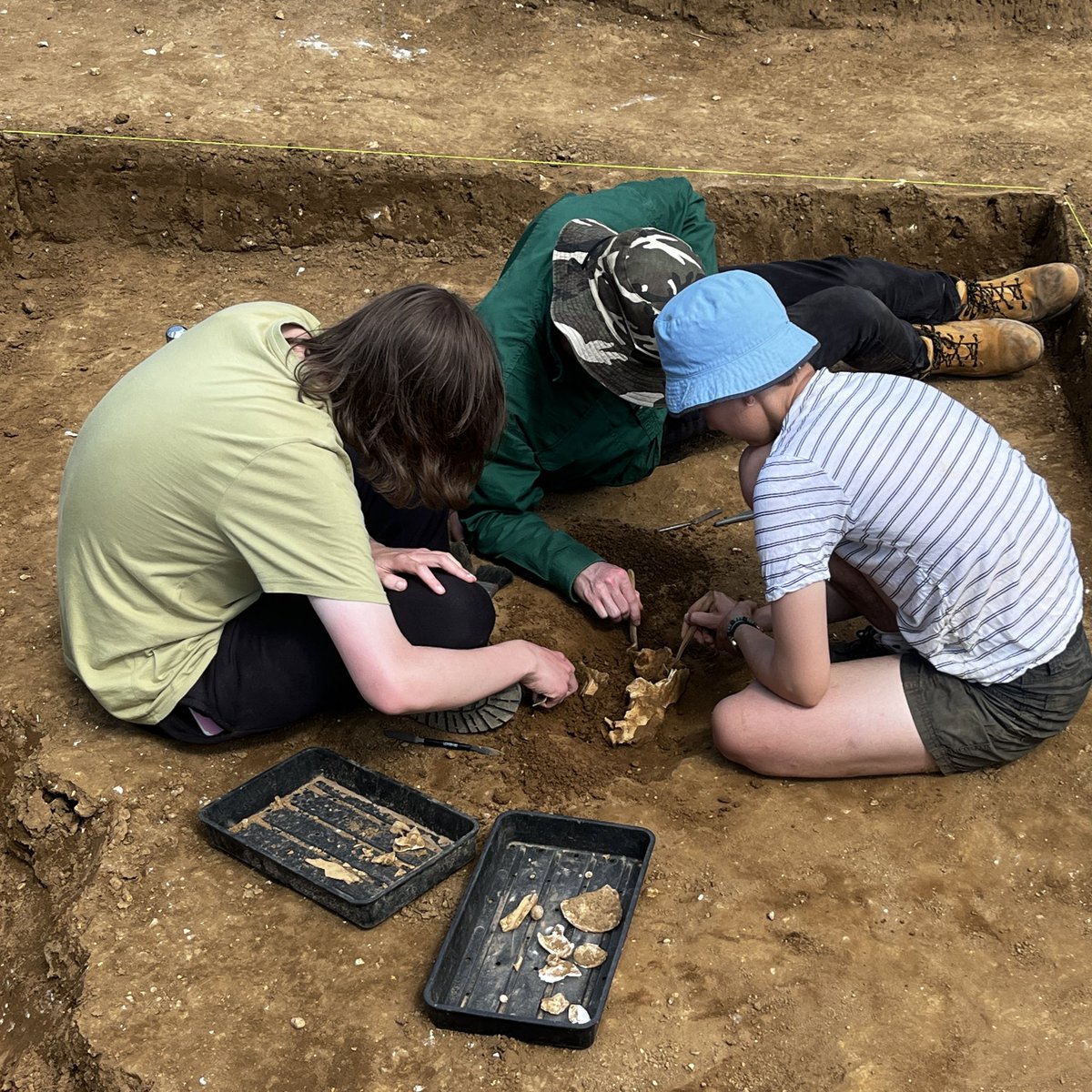 An a-moo-zing find has just been discovered by our BERTs today: A fragmented cow skull is slowly emerging out of a colluvial layer which appears to be sealing our Saxon occupation layer.