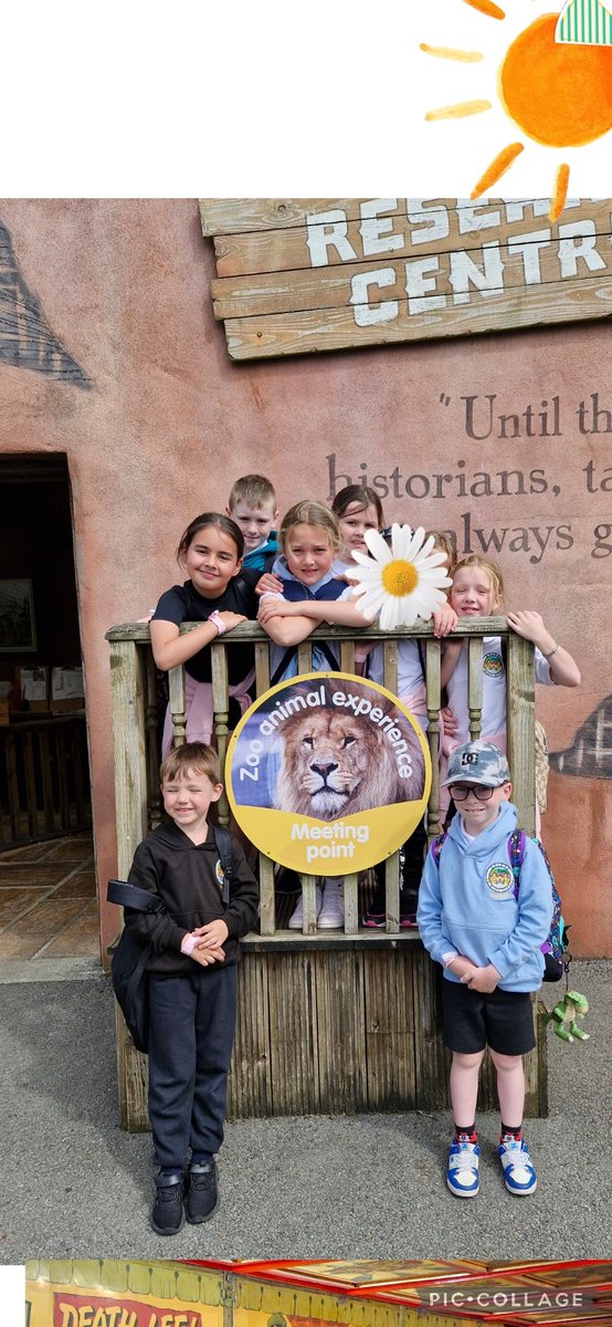 Rhigos Primary tweet media