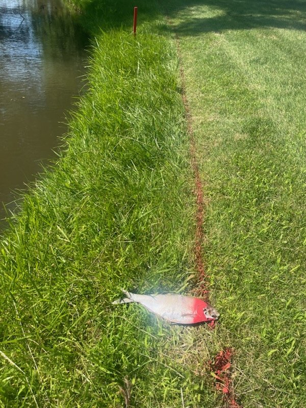 Chuck Barber tweet media