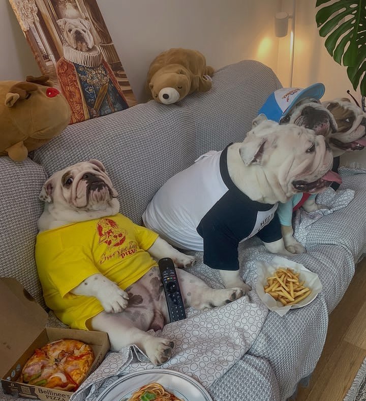 Bulldogfanclubb's tweet photo. Family movie night 🍿🎥 https://t.co/rnMsEw4h4T