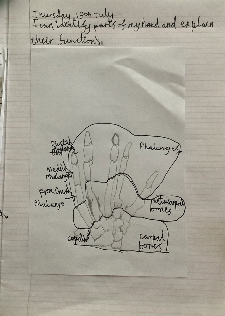 Year 3 St John's tweet media