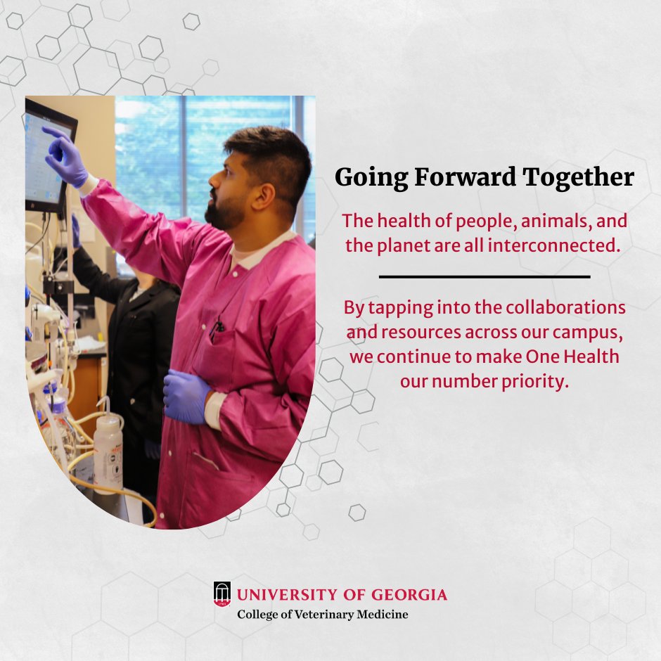 ugavetmed's tweet photo. One Health isn't just a talking point. It's a belief.
A One Health approach cares for animals, humans, and the environment at the #UGACVM. Our research helps people and animals liver better lives.
--
➡️Learn more: https://t.co/dtjKKFEV4g
#vetdawgs #ugacvm #ugavetmed https://t.co/ADt5tfUg6v
