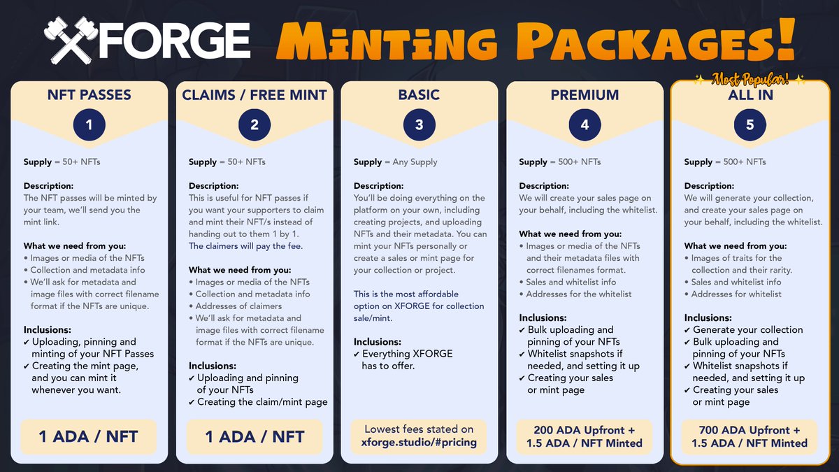 XFORGE.studio ⚒️ tweet media