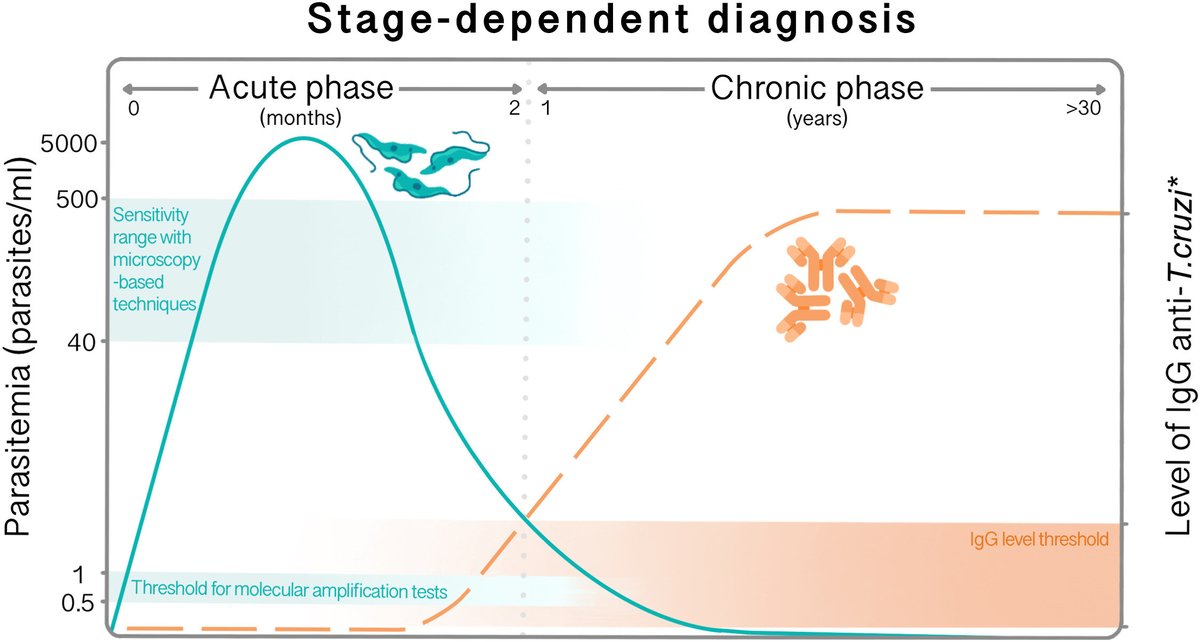 TheLancet's tweet photo. Chagas disease (CD) poses a significant health threat in Latin America, with 6–8 million people infected by the parasite.

In @LancetRH_Americ, a Review explores recent advancements in CD diagnosis, challenges that remain, &amp; future directions: https://t.co/oPnvG69Sp2 https://t.co/gCInMP5pX8