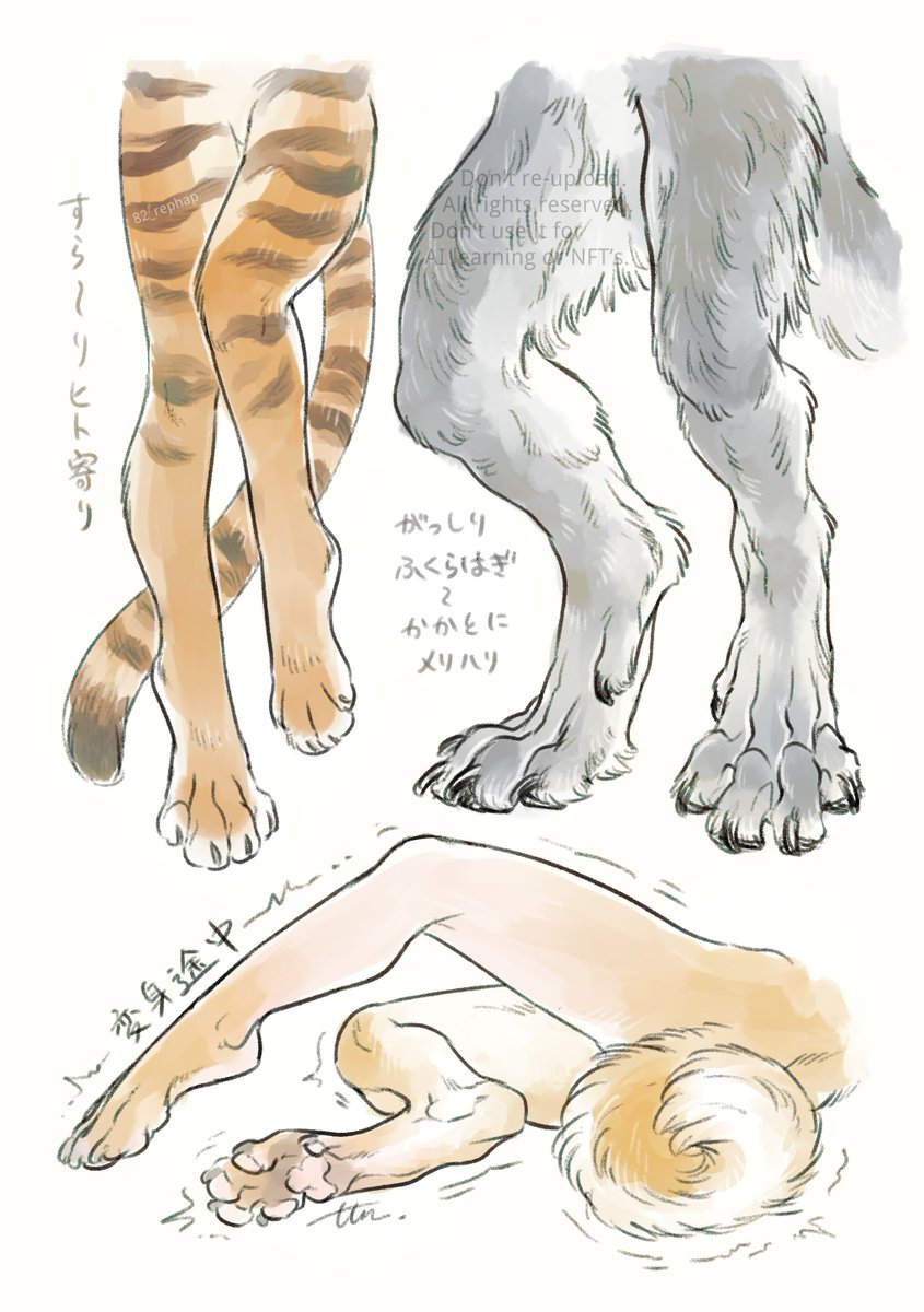 こういうケモ脚が好き 