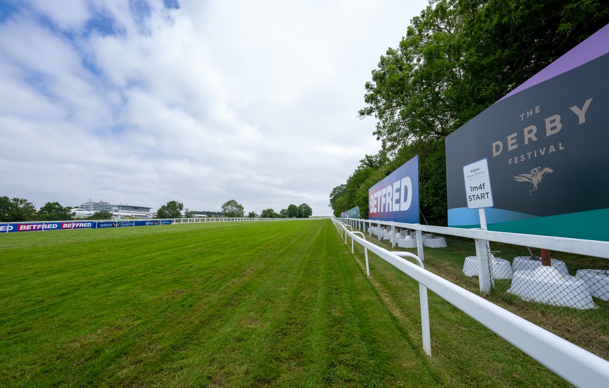 My Racing Tips tweet media