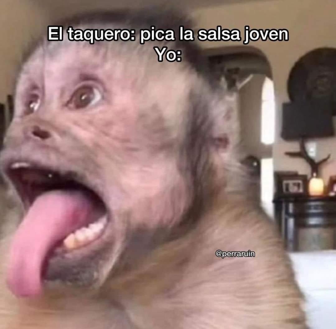 MexicoMagico's tweet photo. https://t.co/AgRhUXZwJC