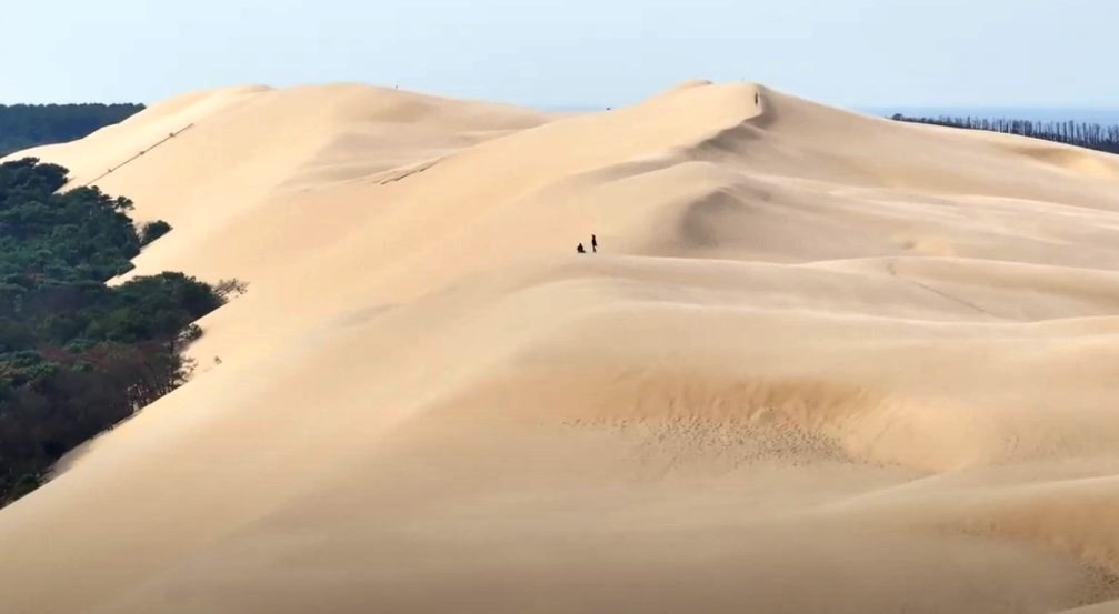 InfoBassin's tweet photo. La grande DUNE DU PILAT s'est refait une beauté... Voir https://t.co/wRgwqvupBy
Rénovation du site d'accueil, cheminement paysagé... Pour l'apprécier au-delà de la vue!
#bassindarcachon #pilat #dune #animation #girondetourisme #infobassin #dunedupilatofficiel #dunedupyla https://t.co/LXddHCyoj6