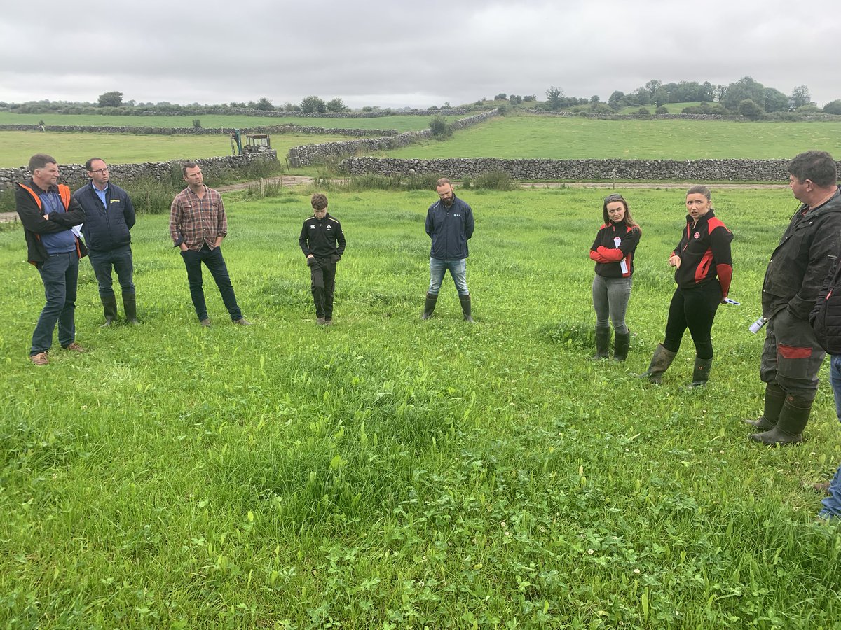 Very interesting and informative discussion and farm walk this morning on farm with <a href="/specialistnutri/">Specialist Nutrition</a> <a href="/NVCondell/">nigel condell</a> and <a href="/tom_moloney58/">Thomas Moloney</a> from DLF. Talking about everything from Autumn feeding to red clover and multi species swards.