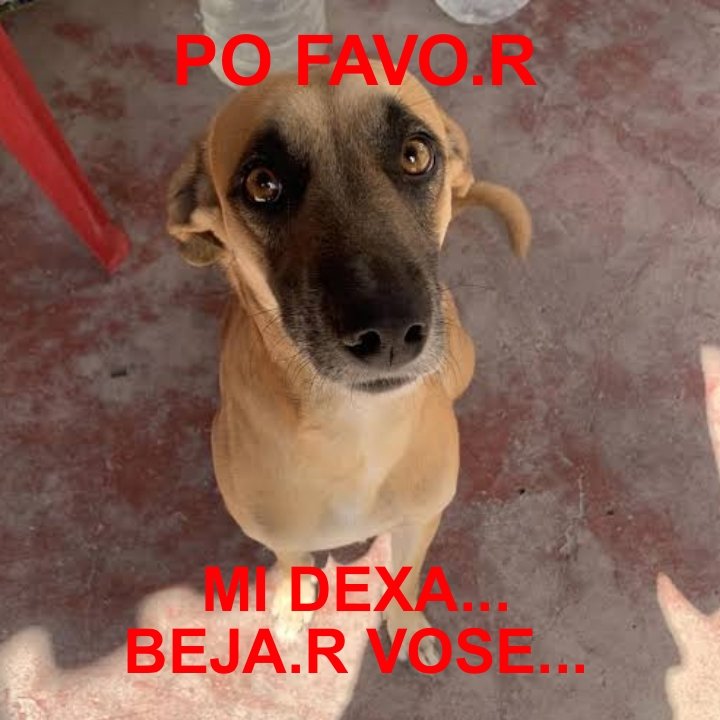 tortadefrango67's tweet image. 