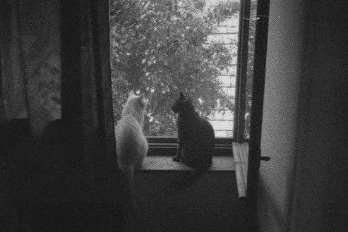 sveeg_'s tweet photo. †★♪|`Because all the little things you do remind me of why I fell in love with you https://t.co/n02VerB7JE