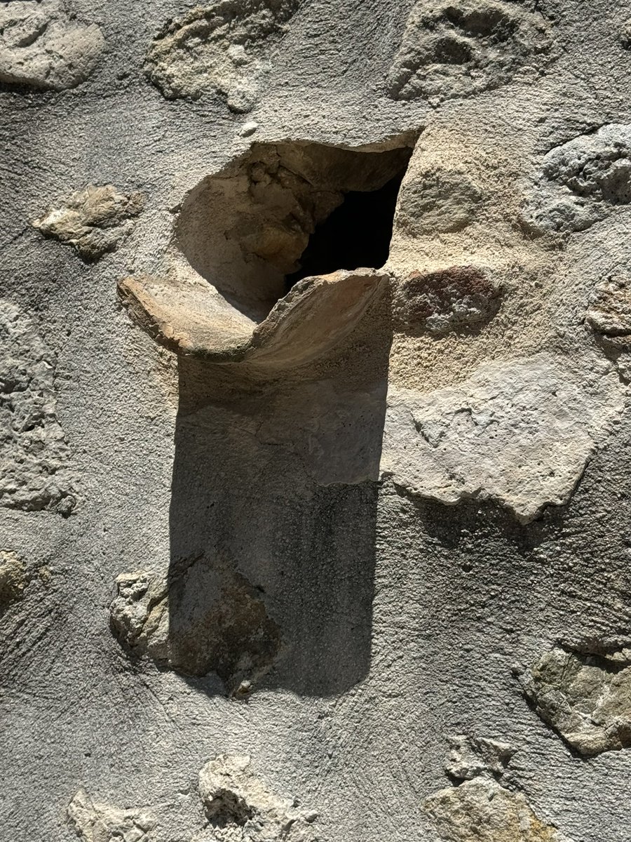 Lesp’titspoilus🐾 tweet media