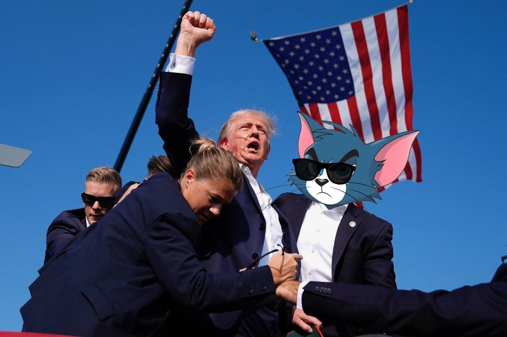 BasedTomCat's tweet photo. @cryptojourneyrs @base #TOMONBASE 
The ticker’s $TOM 

FAIR PRESALE ENDS 🔜 https://t.co/XEjmCsKdEk https://t.co/N32px7mh49