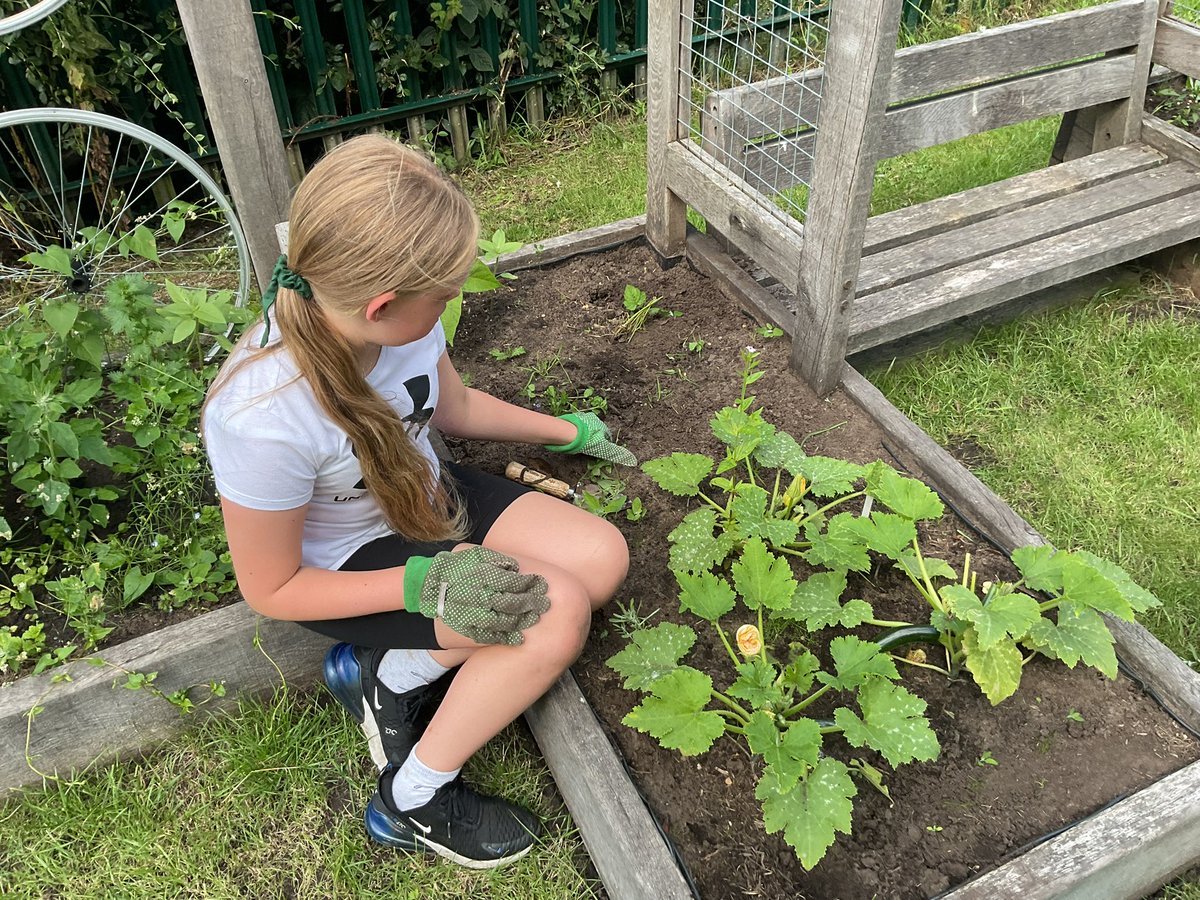 What summer days are for! Lots of physical activities on offer at CCA this afternoon #sport #summervibes <a href="/ChristAcad/">Christ Church Academy</a> <a href="/WeAreBDAT/">BDAT</a>