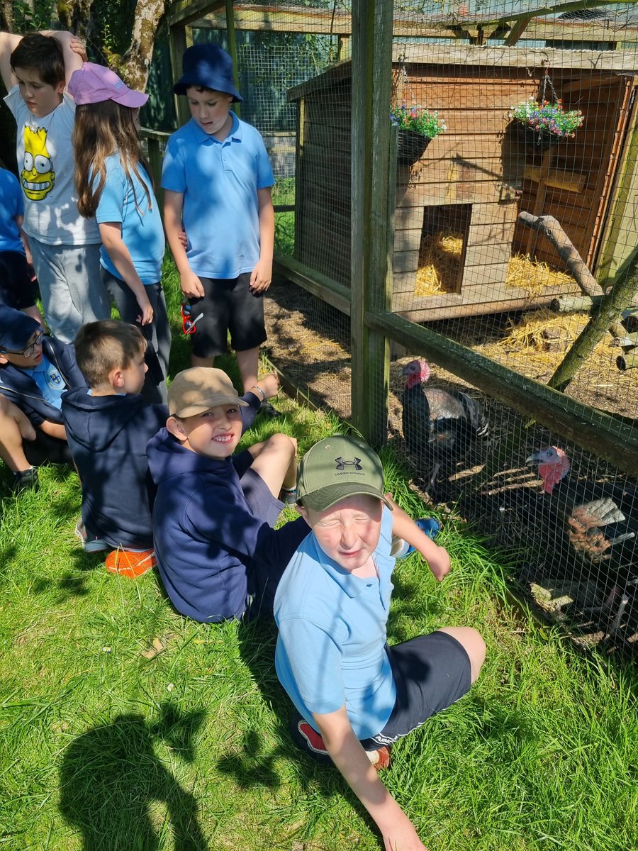 Sunshine & Rainbow Class (@baseclass10) on Twitter photo A fabulous day at Amelia Trust Farm. Everyone throughly enjoyed petting the rabbit and guinea pig. A huge thank you to <a href="/inclusability/">Inclusability</a> for helping fund this fantastic trip. A fabulous day at Amelia Trust Farm. Everyone throughly enjoyed petting the rabbit and guinea pig. A huge thank you to <a href="/inclusability/">Inclusability</a> for helping fund this fantastic trip.