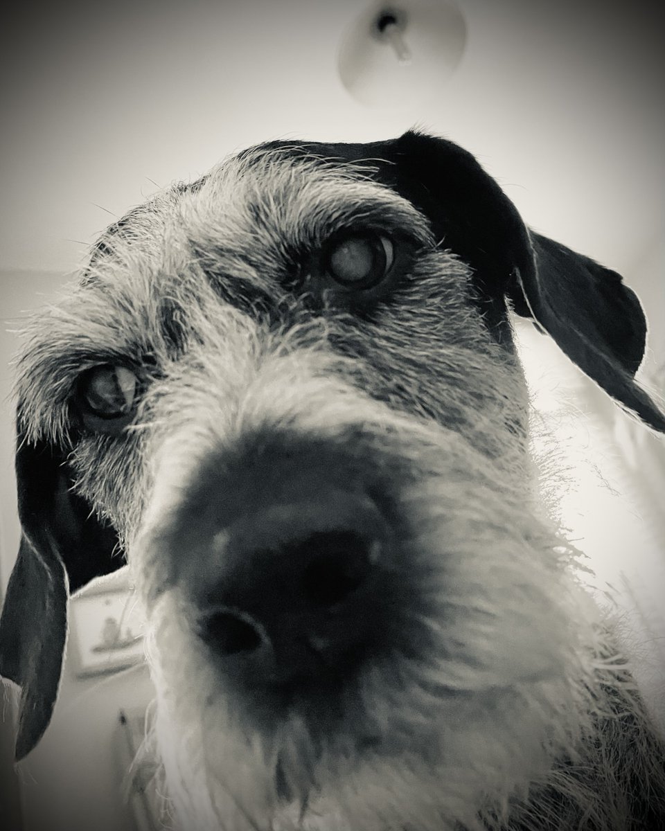 When you see the engagement building on your socials like 👀🐾

Need support with your #socialmediamarketing? We’ve been creating impact, building audiences &amp; delivering results since 2018.

Drop us a DM and we'll get our paws into it! 🐾💬

#DigitalMarketing #SocialMediaStrategy