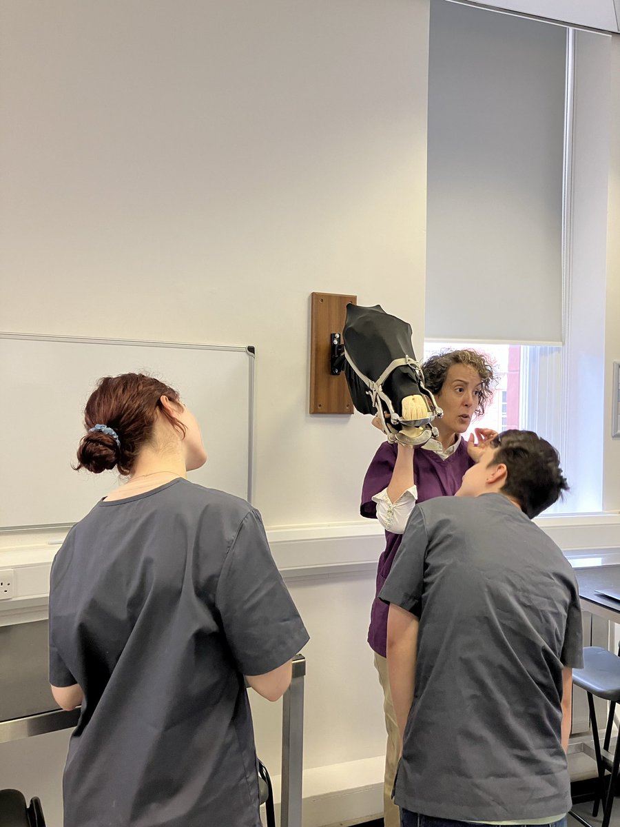 Some snaps from Day 1 of #DestinationVets. After the careful attention of our Year 12s, we’re pleased to say there are a number of stuffed dogs now in excellent health! Thank you <a href="/LivUniVetSchool/">UoL School of Veterinary Science</a> for a brilliant day.