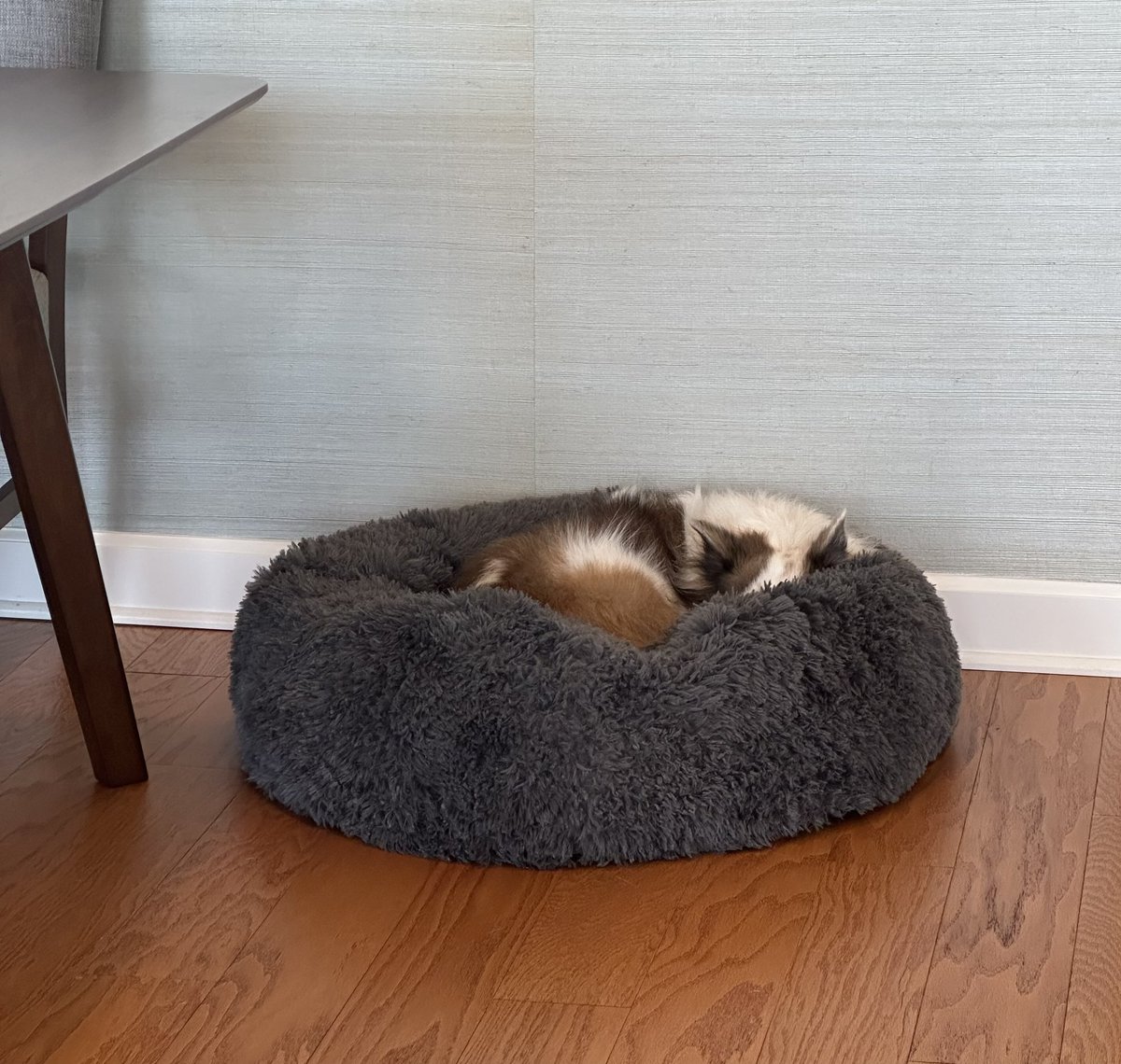 What I do when y’all start gabbing about politics