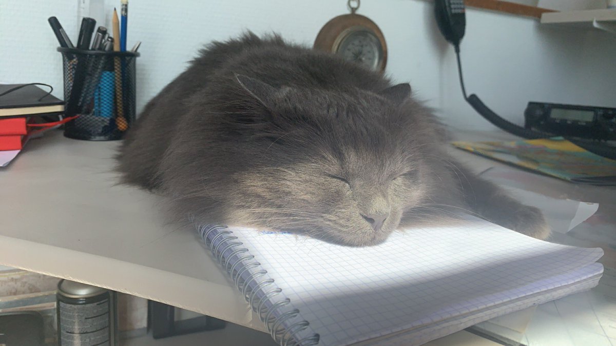 Charlotte tweet media