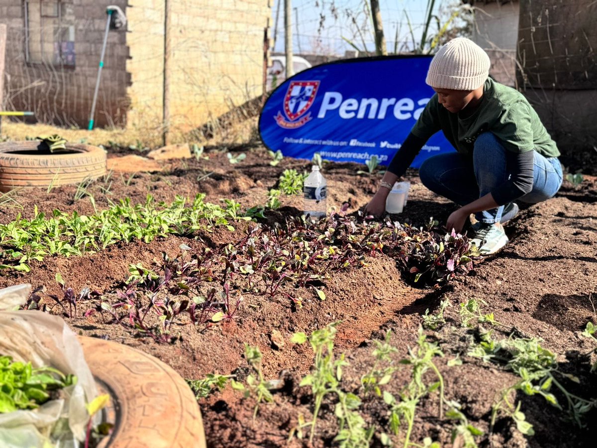 penreach's tweet photo. It's a busy and exciting day at Penreach as we celebrate Mandela Day!From establishing vegetable gardens to screening movies &amp; making toys from recycled materials, we're honoring Madiba's legacy with action and impact.Keep an eye on our socials for all the highlights! #MandelaDay https://t.co/AckJpES7eY
