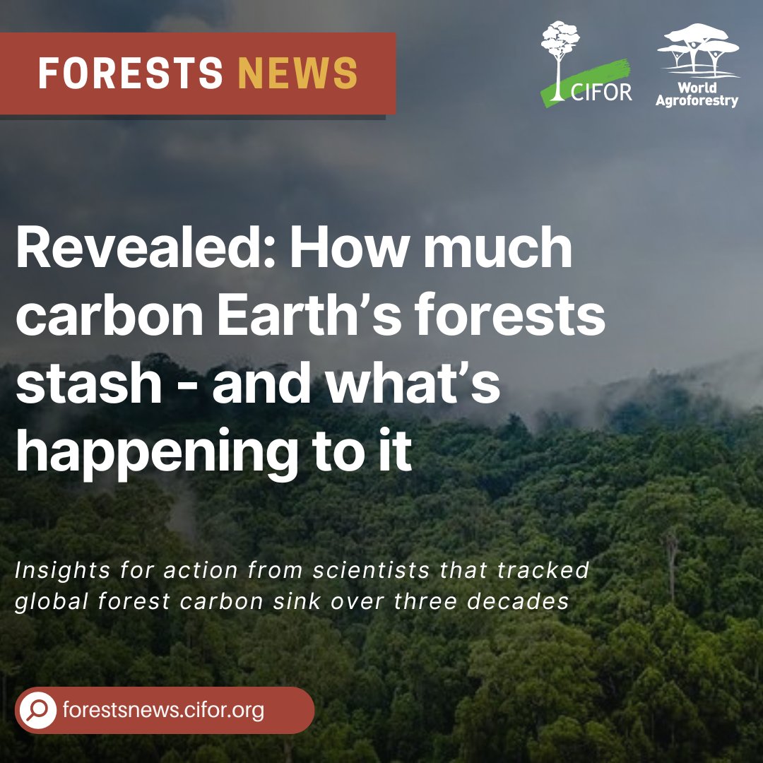 CIFOR-ICRAF tweet media