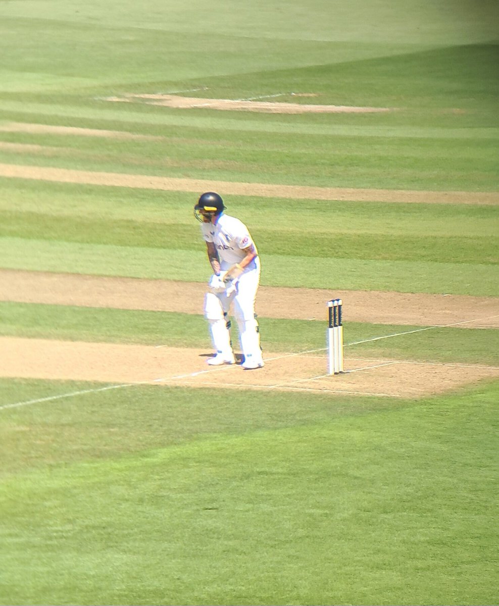 mark stuart tweet media