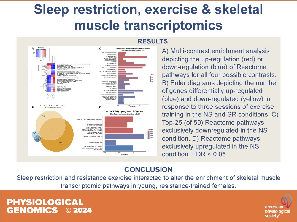 Physiological Genomics (@physiologicalg) on Twitter photo 👉This study by <a href="/LivKnowles1/">Liv Knowles</a> et al. investigated the effect of nine nights of #SleepRestriction, with repeated resistance #exercise sessions, on the skeletal muscle #transcriptome of young, trained females.
🖱️ow.ly/bF1e50SyalY
@LamonSeverine <a href="/SareAlexander/">Sarah Alexander</a> @AdamTrewin 👉This study by <a href="/LivKnowles1/">Liv Knowles</a> et al. investigated the effect of nine nights of #SleepRestriction, with repeated resistance #exercise sessions, on the skeletal muscle #transcriptome of young, trained females.
🖱️ow.ly/bF1e50SyalY
@LamonSeverine <a href="/SareAlexander/">Sarah Alexander</a> @AdamTrewin