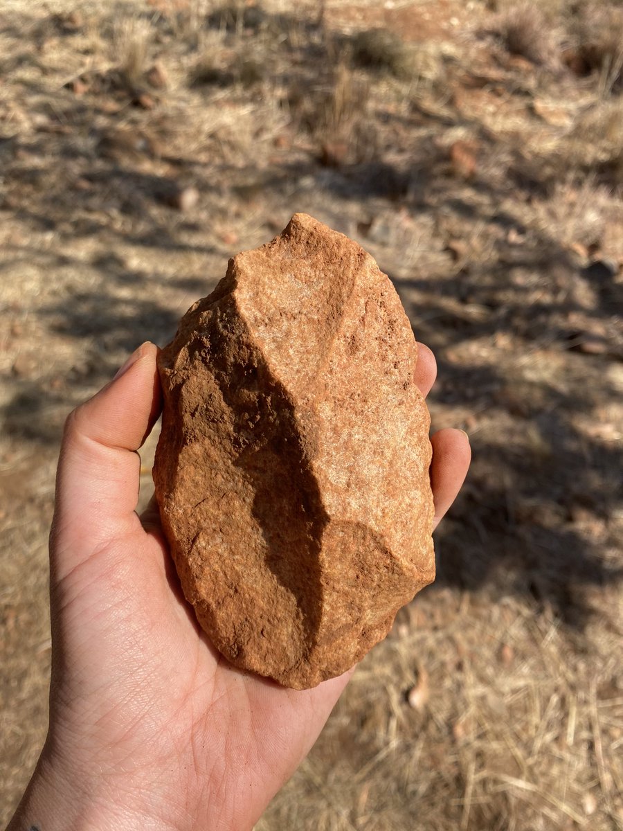 Found a handaxe called Claudia today…

#lithics #stoneage #acheulean #archaeology #wonderboom