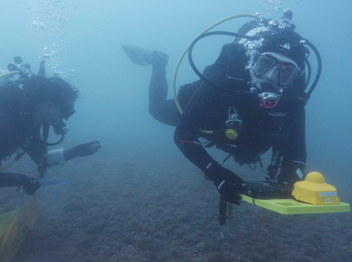 DHSC Project tweet media