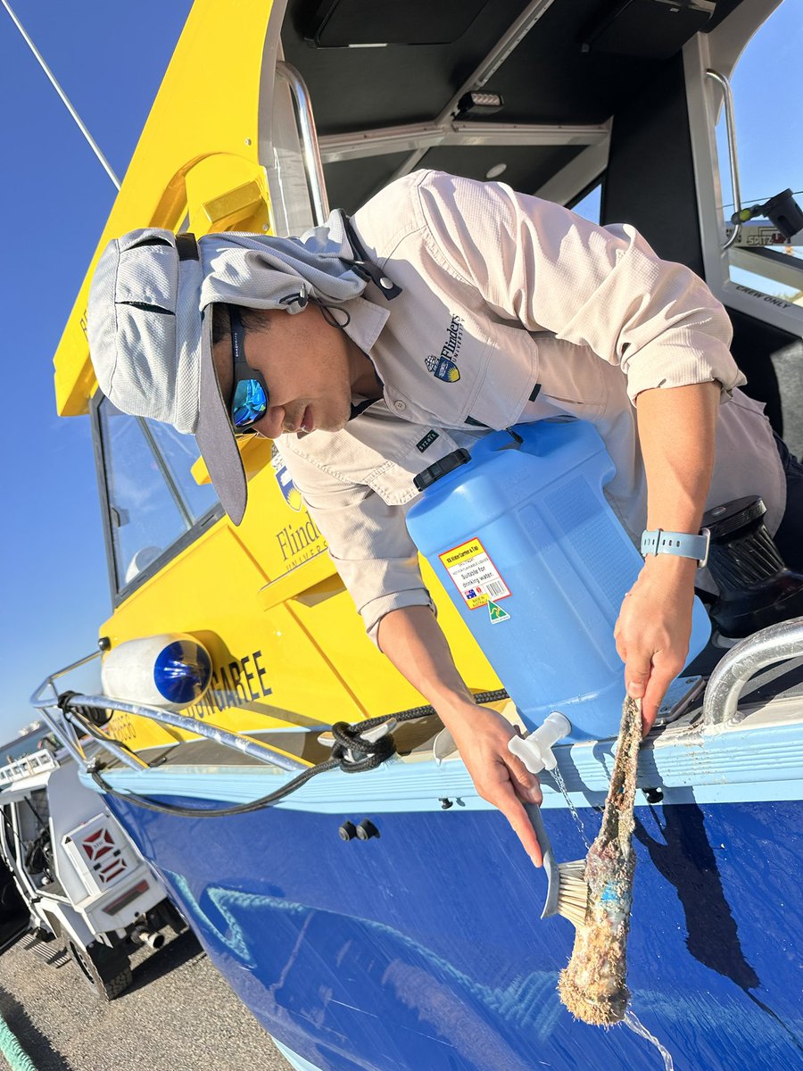 DHSC Project tweet media