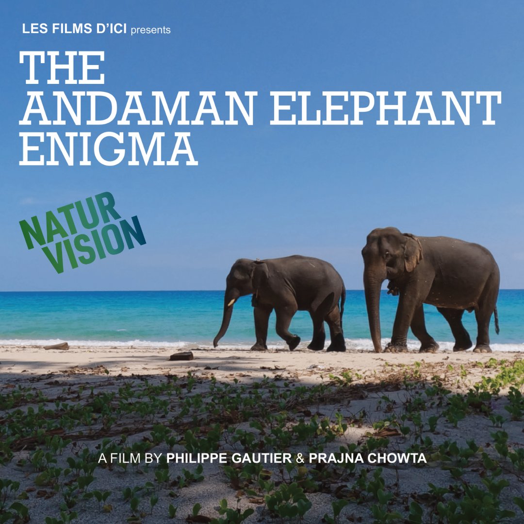 L'Enigme des éléphants d'Andaman, 
de Philippe Gauthier et Prajna Chowta 
est sélectionné au festival NATUR VISION

youtube.com/watch?v=HWg7kF…

Dans l’océan Indien, les îles paradisiaques d’Andaman abritent des éléphants dont l’origine énigmatique nourrit la légende locale.