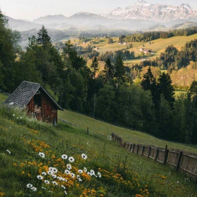 Eros 🎒 tweet media