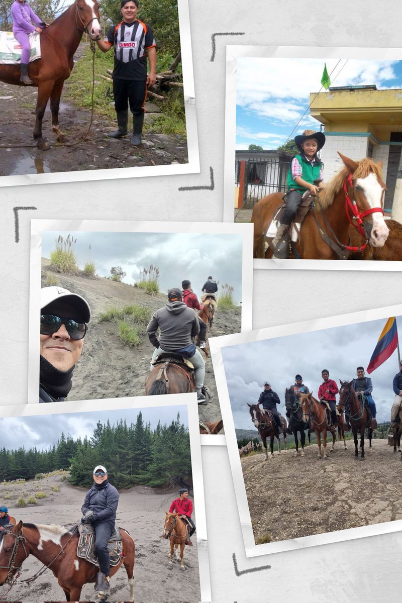 CARLOS ALVARADO (@alvaradocozar) on Twitter photo 