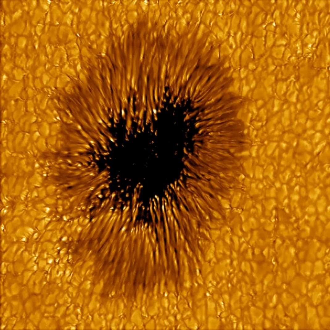 ShiningScience's tweet photo. Highest resolution image of the sun's surface ever taken. https://t.co/y6InJFpHmL