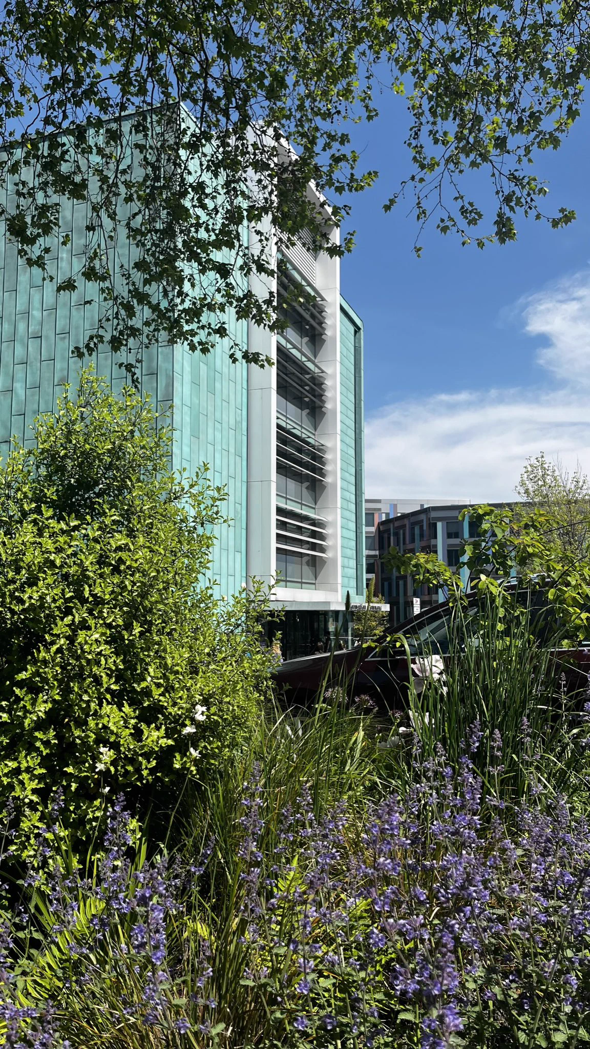 The outside of the Information Commons with flowers and plants in the foreground