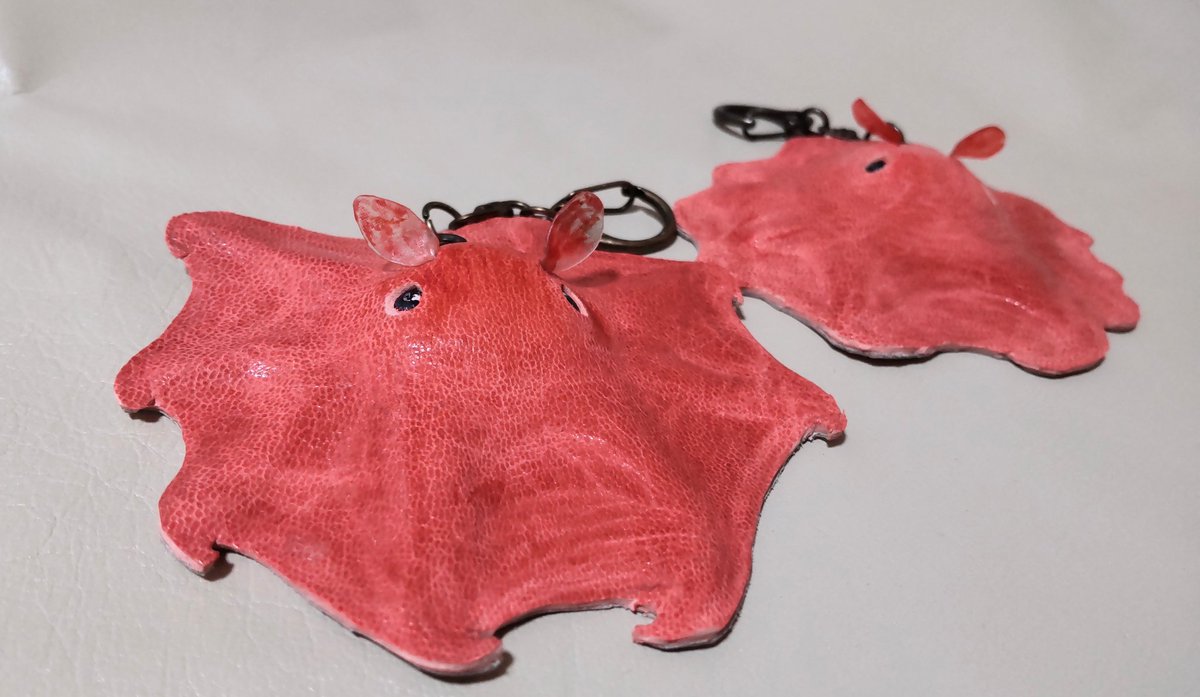 メンダコページ 517DZUp37-L._AC_SY200_QL15_.jpg