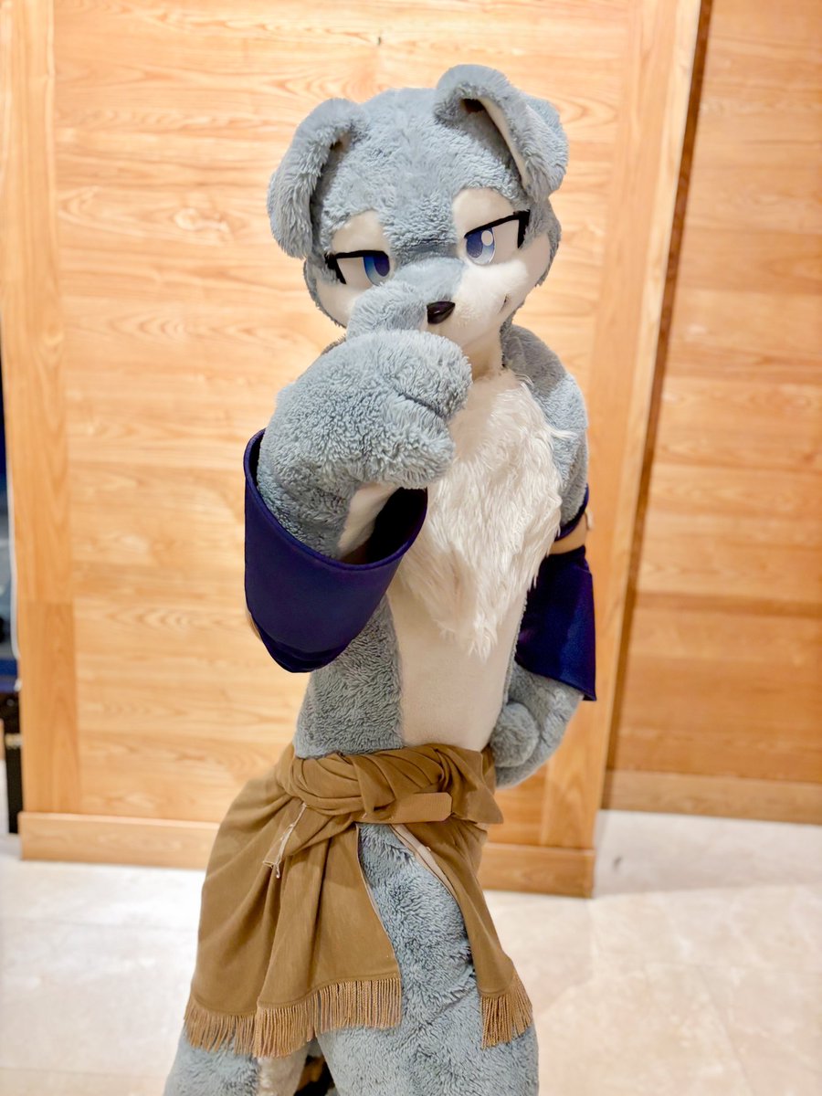 ByakuyaCoyote's tweet photo. #FurMIT24 #pdtk

これは、シー ク レッ ト ね⋯

@nemus_ys https://t.co/SGuwHekLkM