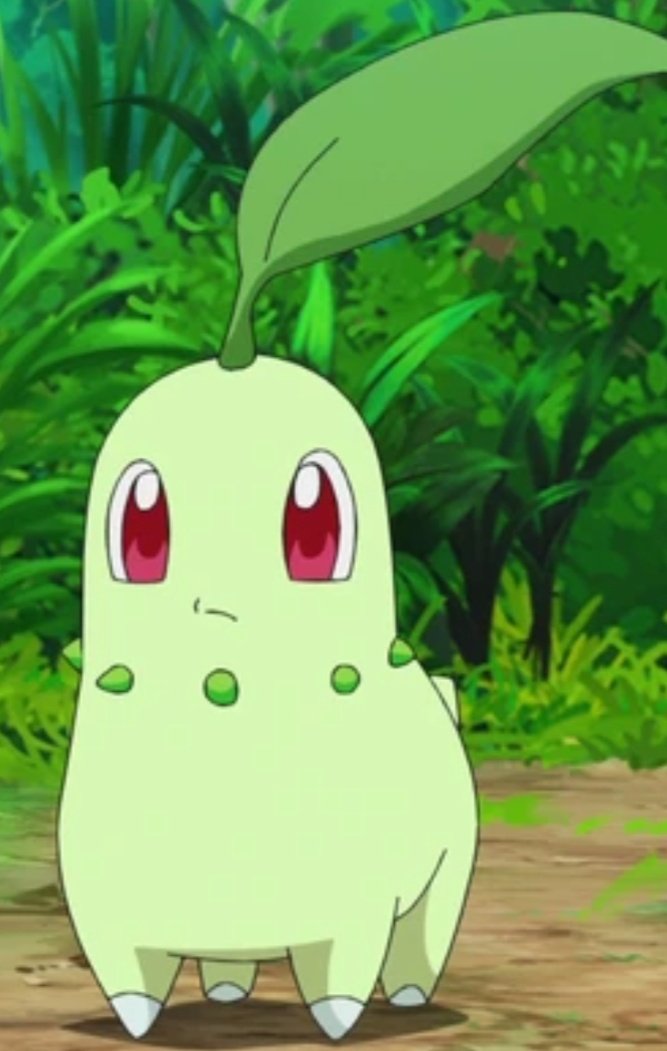 ItsSalvaBTW's tweet photo. Yo y mi Pokémon favorito https://t.co/4wIhKhZvLk
