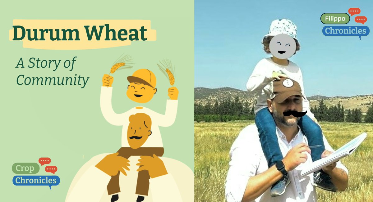 fillobax's tweet photo. @CropTrust @ICARDA 🙃🙂Inversion of reality 🙂🙃: this is a glitch in #TheMatrix my life is becoming an infograph, or is the infograph becoming my life?
What parallel universe awaits in CWR #research?
#ScienceKnowsBest
#WhoFramedRogerRabbit 🐰🐰
https://t.co/vWicWLTrUI https://t.co/wmnMafWzEZ