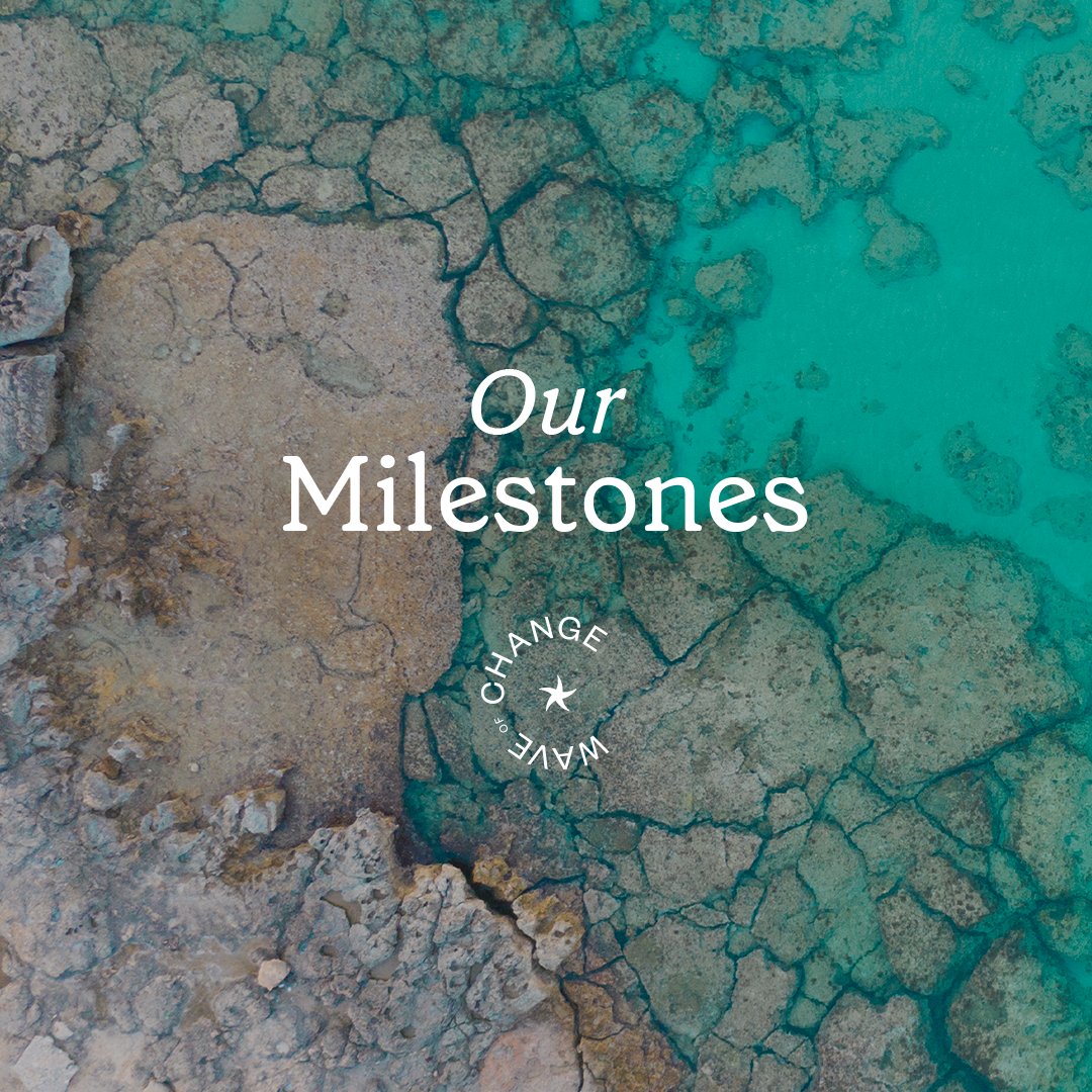 waveofchange's tweet photo. At Wave of Change, we're leading the way for a sustainable ocean economy. Discover our achievements, from our Coral Reef restoration program to the Climate Change Observatory, and join us in our commitment to marine and coastal conservation.
