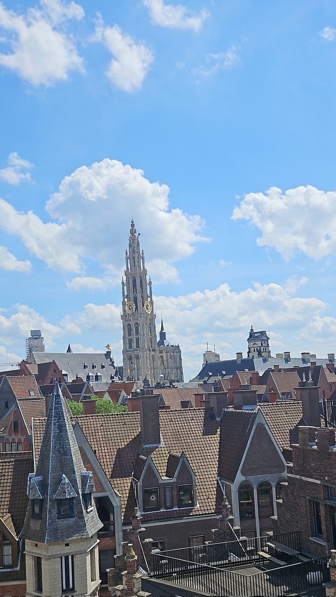 Shailja Singh tweet media