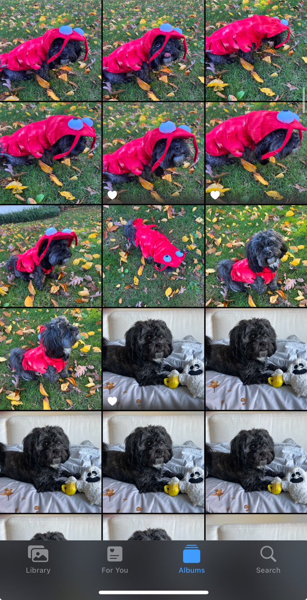 Julia Edelman tweet media