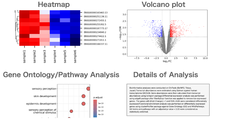 OlvTools_en's tweet photo. [RNA-Seq Data Analysis Software]

We have released RNA-Seq Data Analysis Software. With our software, you won't need to outsource or rely on collaborators. You can start analyzing data yourself right away, without the need for high-spec computers or knowledge of Linux commands.