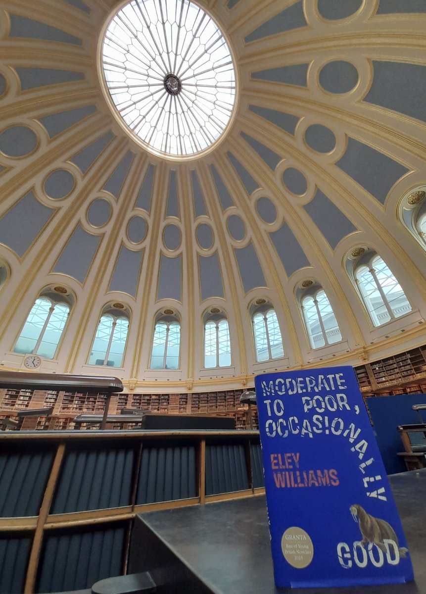 Giant Rat of Sumatra tweet media