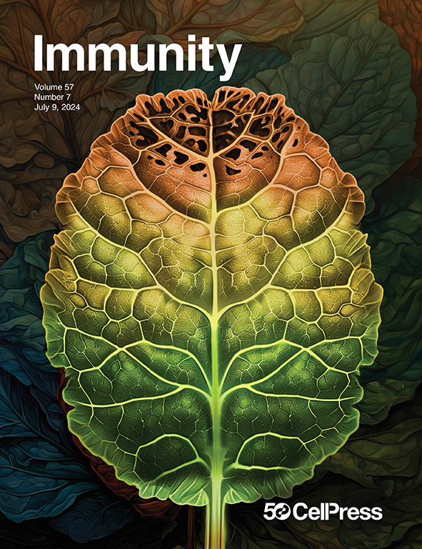 ImmunityCP's tweet image. This month's beautiful cover depicts work from Hofer, @HuntLabEdin, Viengkhou &amp;amp;co showing that in Aicardi-Goutières syndrome, neurotoxic IFNα originates in the CNS &amp;amp; mediates disease primarily through its effects on the cerebral microvasculature. Image by Ben Gartland, Grant…