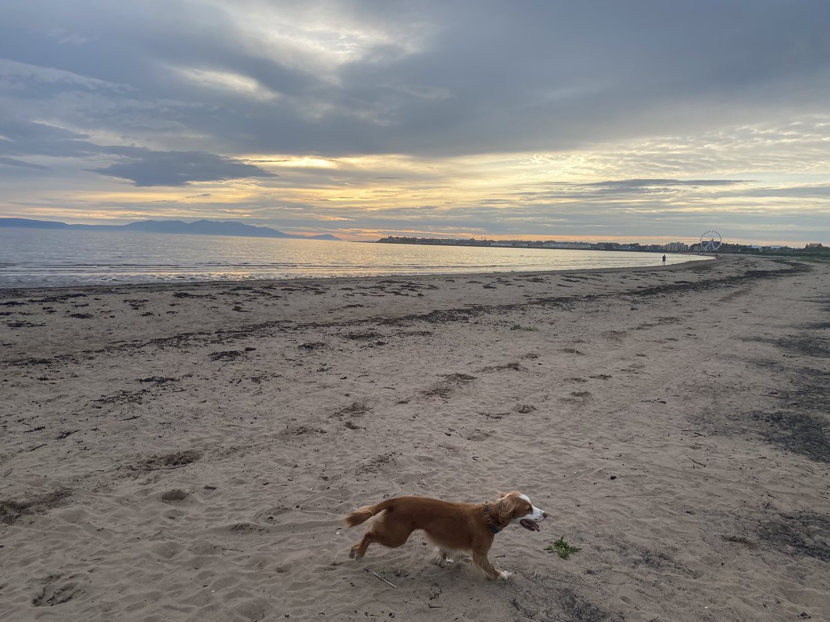 Jennifer Wright tweet media