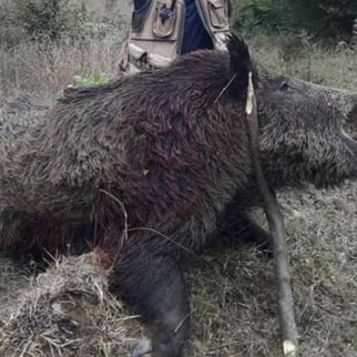 ymnozl's tweet photo. CHP'li Barış Karadeniz, söz konusu köpek olunca evladı parçalanmış bir babayı BİZİM Meclisimiz 'den attıracak kadar cüretli! Bunlar da Barış Bey'in Sinop Avcılar Kulübü'nden arkadaşları👇Kimse hayvanseverlikte Barış Bey ve arkadaşlarının eline su dökemez (!) #MilletYasayaEvetDiyor #YasayaEvet