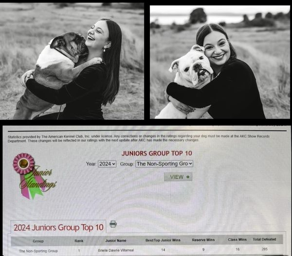 realbca's tweet photo. Congratulations to Brielle Villarreal and her partners Olive and Malibu!
They are currently ranked as the Number One Non Sporting Group Junior Handler.
Well done! https://t.co/spWZYAi9zV